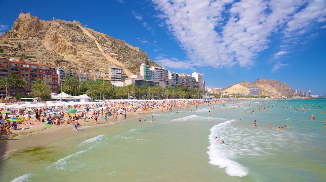 Alicante mostrando uma cidade litorânea, natação e uma praia de areia