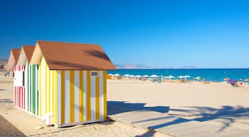 Alicante showing a beach