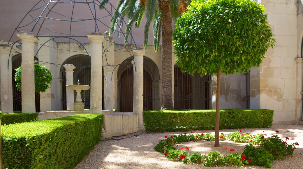 San Nicolas Cathedral which includes a church or cathedral and a garden