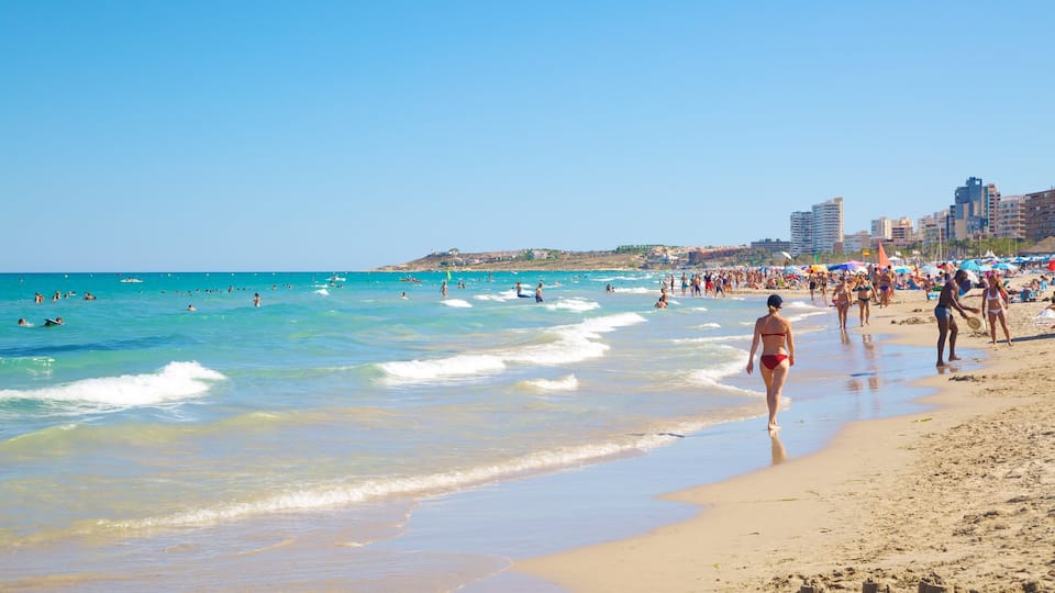 Alicante mettant en vedette plage et baignade aussi bien que important groupe de personnes