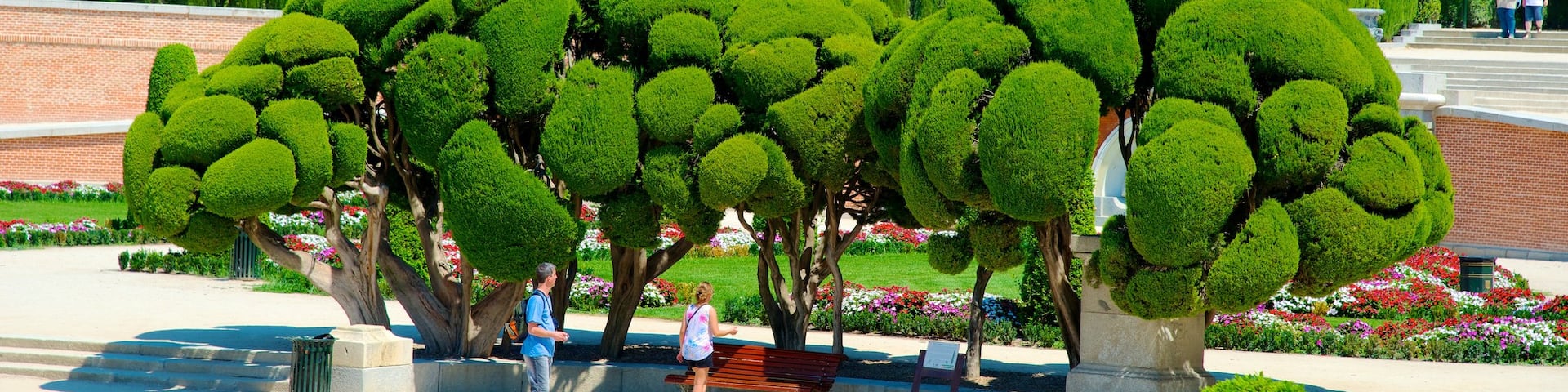 El Retiro Park which includes a garden