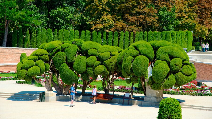 Manicured gardens with unique tree formations in Retiro Park, Madrid.
