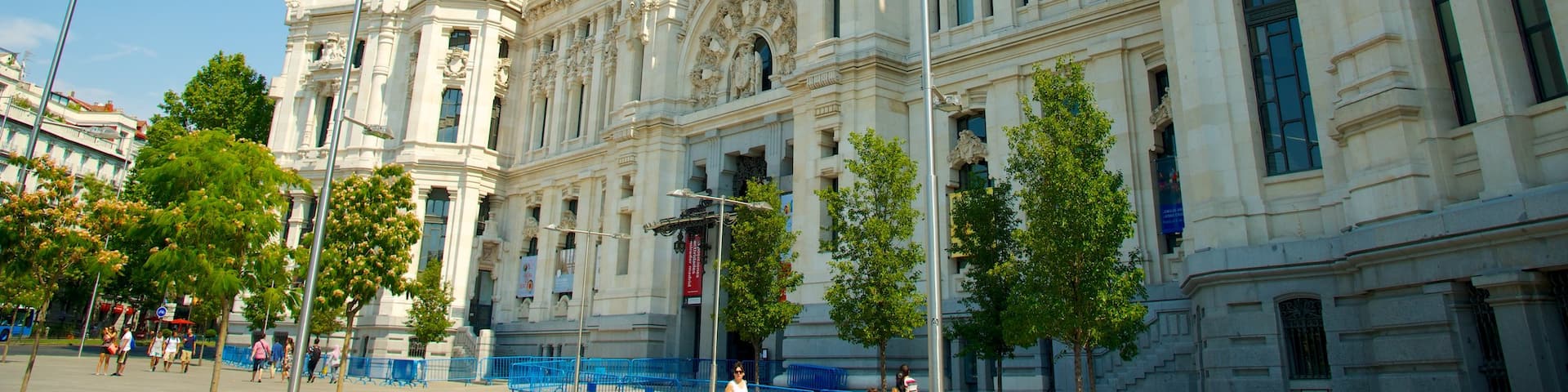 City Hall showing an administrative buidling and heritage architecture