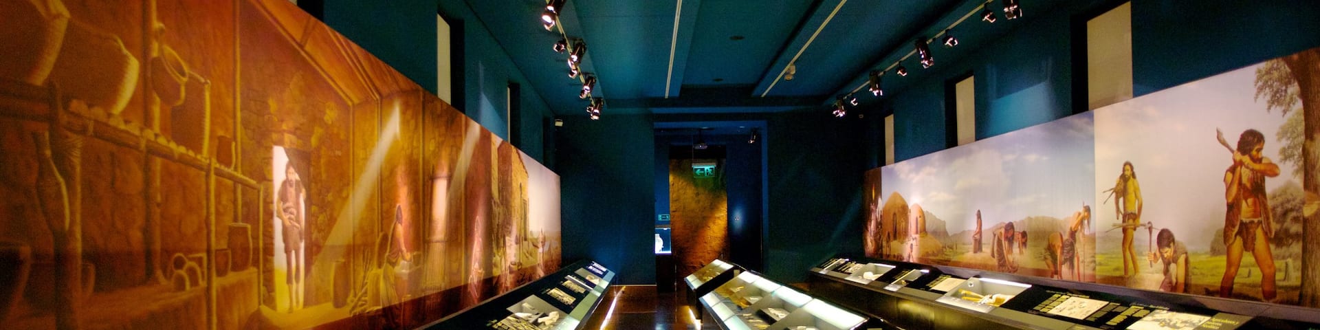 Musée archéologique d\'Alicante mettant en vedette vues intérieures