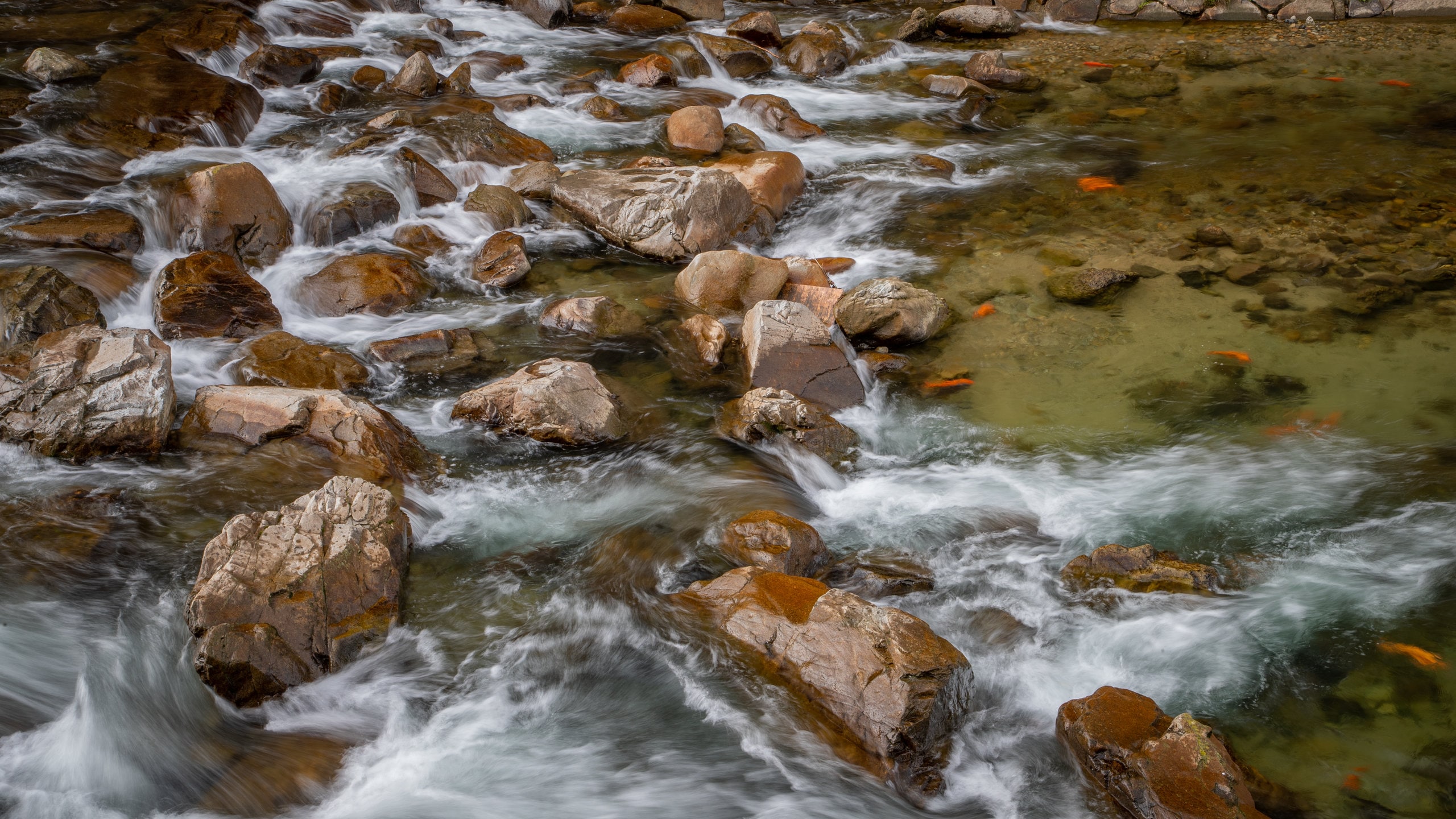 Takayama which includes a river or creek