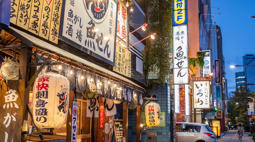 Toyama showing signage and night scenes