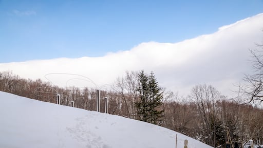 Sapporo Art Park which includes snow and outdoor art