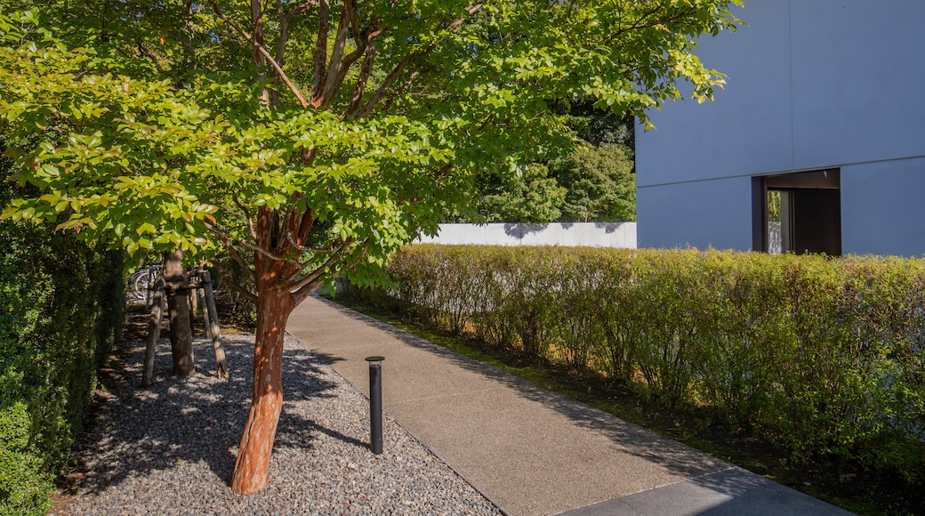 Seisonkaku Villa showing a garden