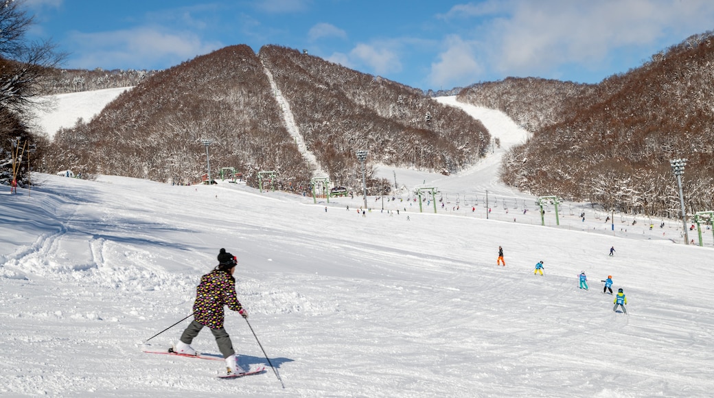 Mount Moiwa showing mountains, snow skiing and snow