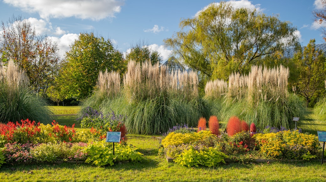 Giardini botanici di Toyama