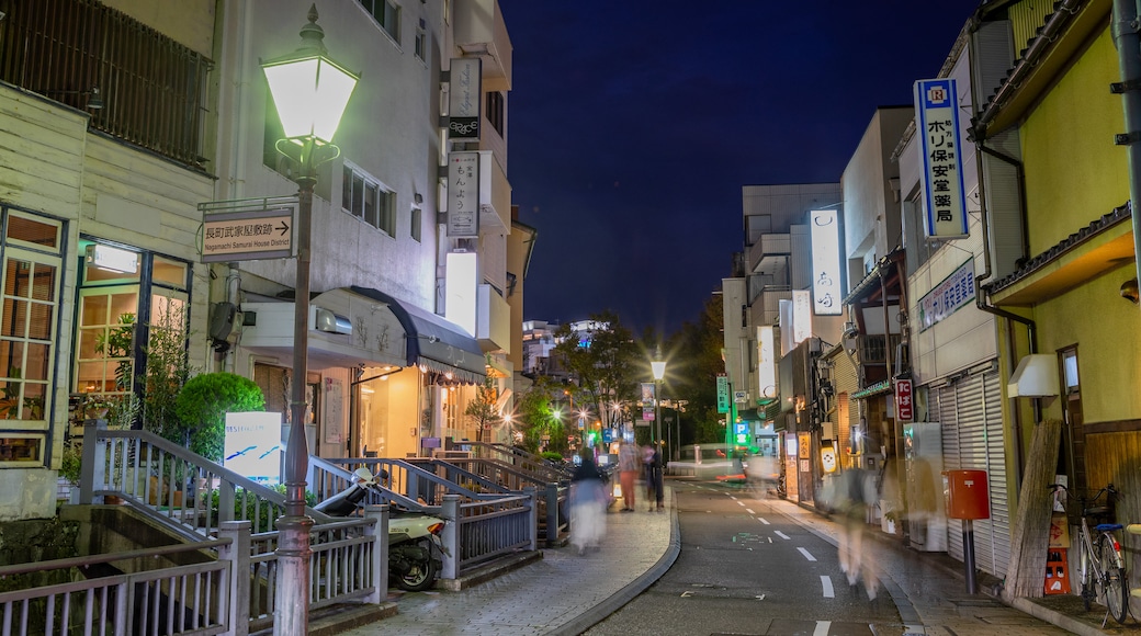 Nagamachi Samurai District which includes night scenes