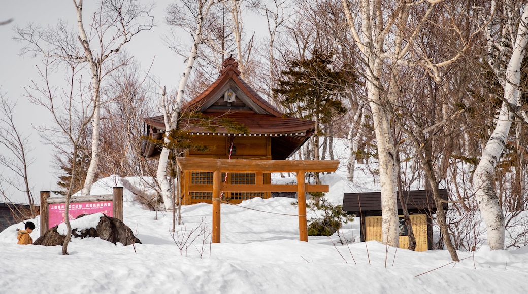 Estación de esquí de Shiga Kogen