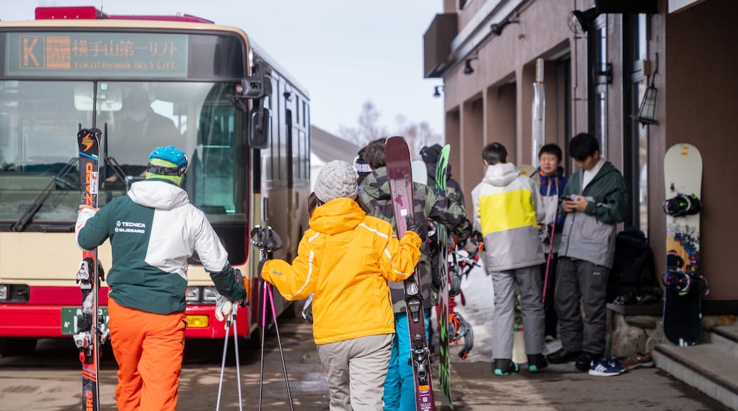 Shiga Kogen Ski Area which includes snow skiing as well as a couple