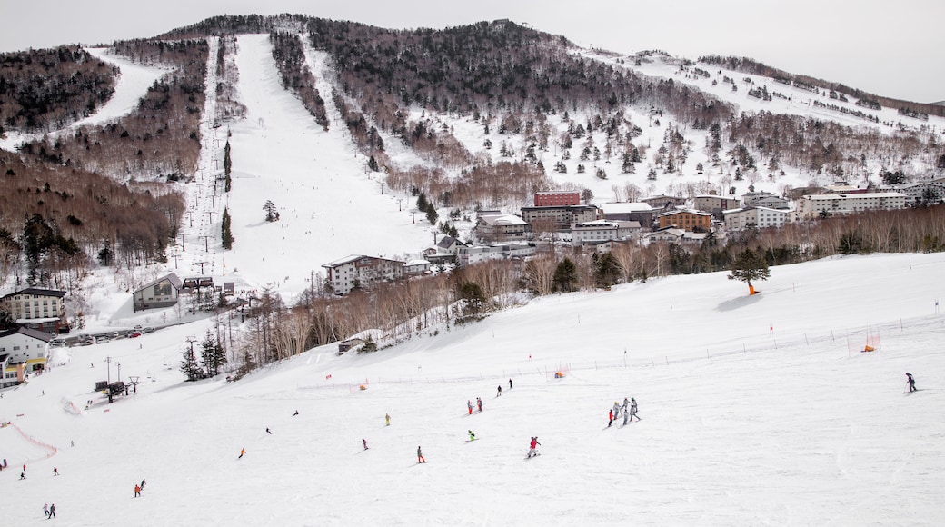 Shiga Kogen Ski Area showing snow skiing, landscape views and snow