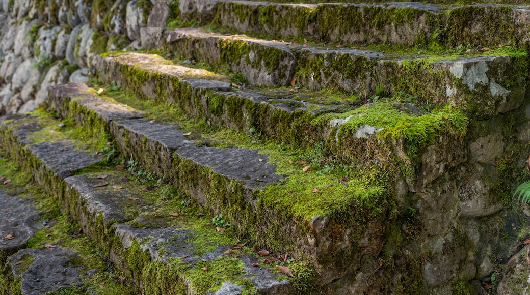 Aldea histórica de Shirakawa-go