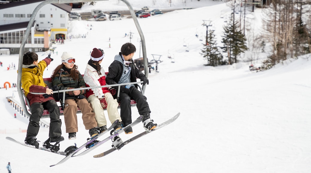 Shiga Kogen Ski Area