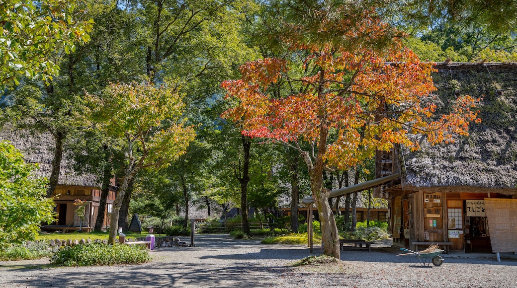 Shirakawago Gasshozukuri Homurajin Museum