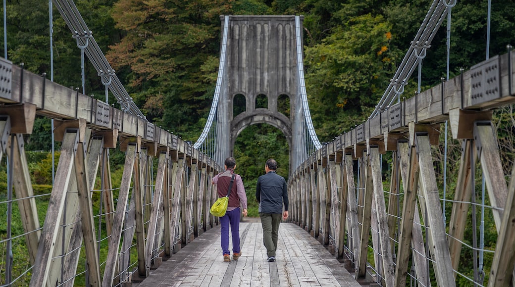 Brücke Momosuke