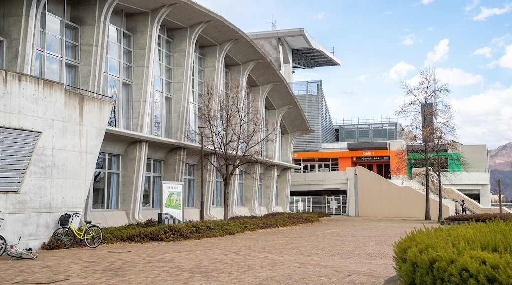 Naganos olympiska stadion