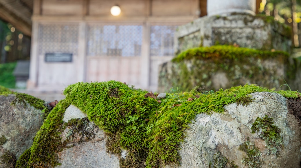 Salón del festival del templo de Shirakawa Hachiman