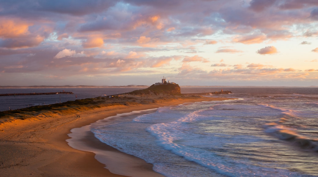Nobbys Head Beach