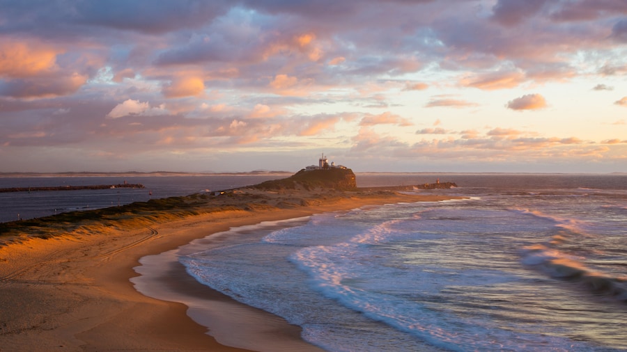 Nobbys Head Beach