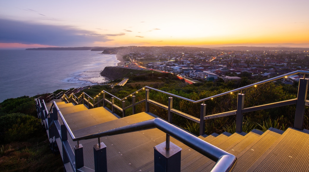 ANZAC Memorial Bridge