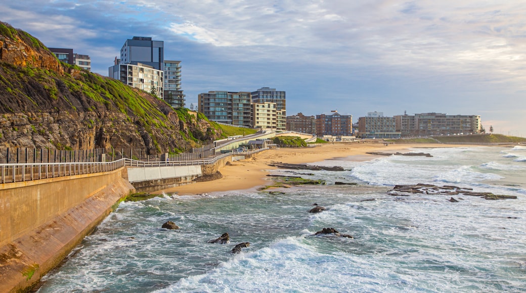 Newcastle Beach showing a coastal town and general coastal views