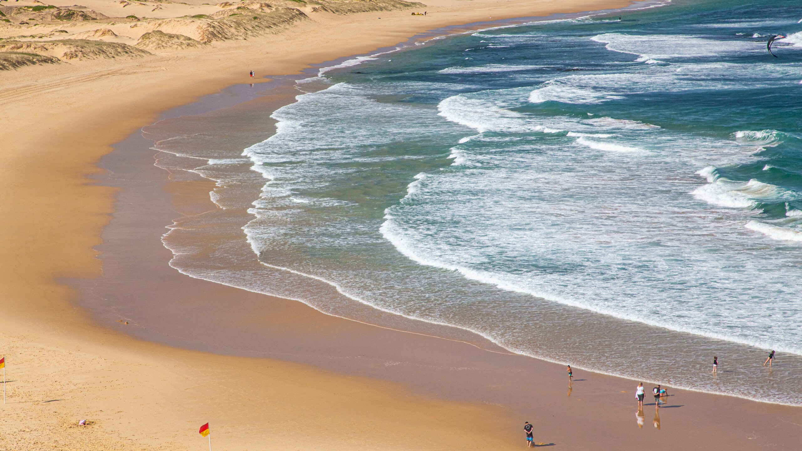 ノビーズ ヘッド ビーチ ニューサウスウェールズ州旅行 エクスペディア