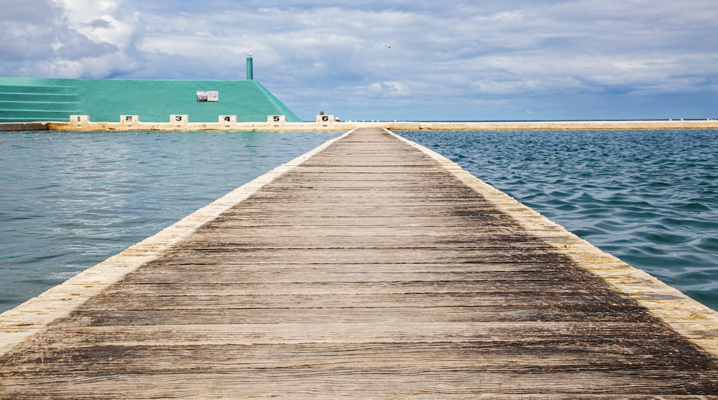 Newcastle Ocean Baths featuring a pool and general coastal views