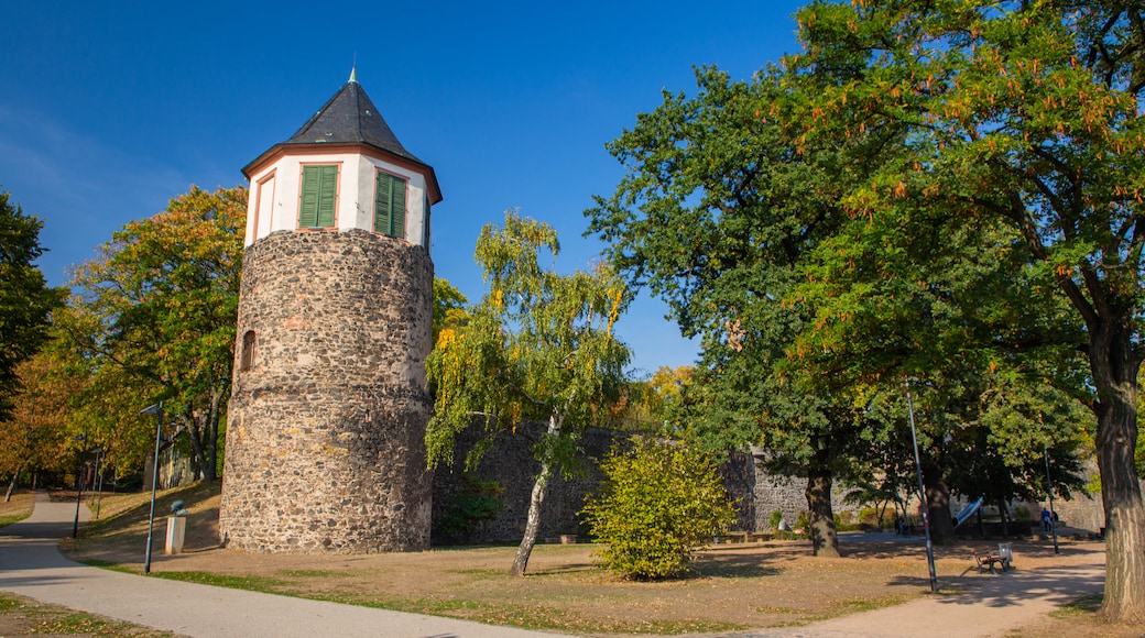 Schloss Höchst