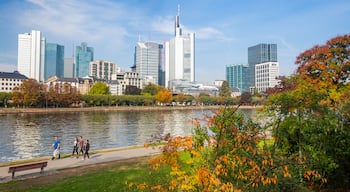 Sachsenhausen which includes a garden, a river or creek and a city