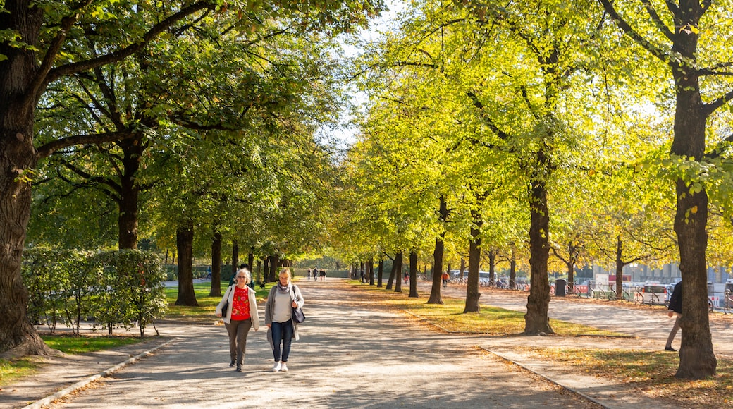 Hofgarten
