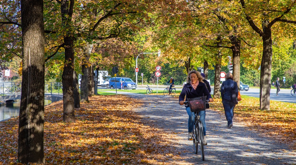 Hofgarten showing autumn leaves, a garden and cycling