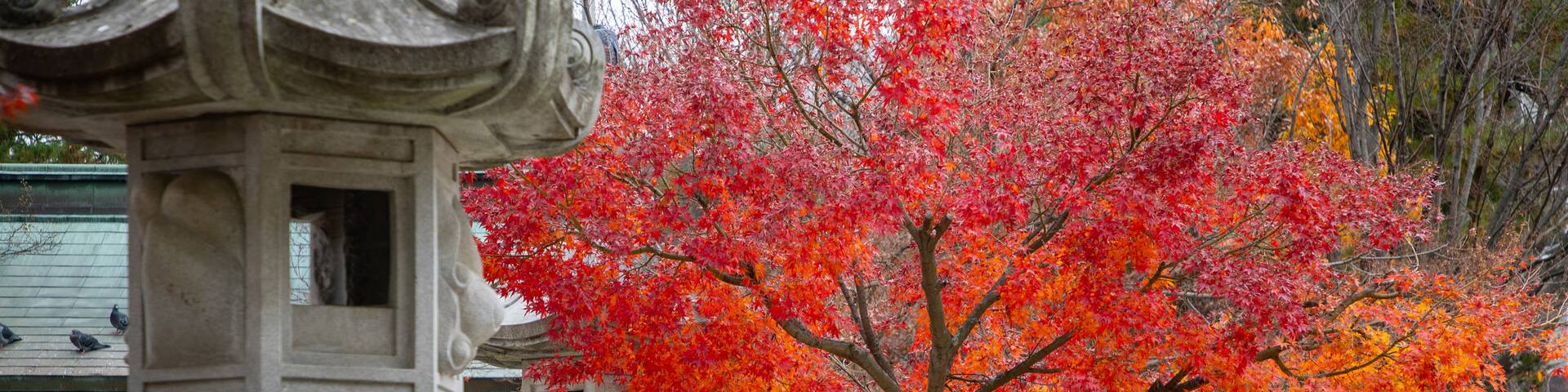 Yohashira Shrine showing a temple or place of worship and heritage elements