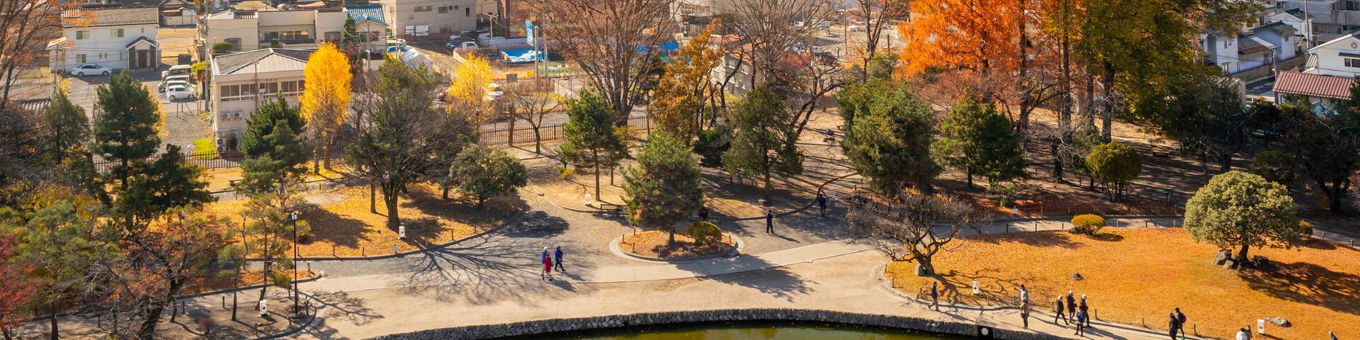 Matsumoto Castle which includes a city and landscape views