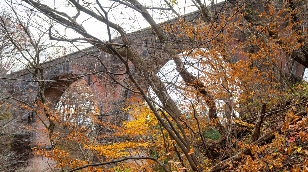 Megane-Brücke