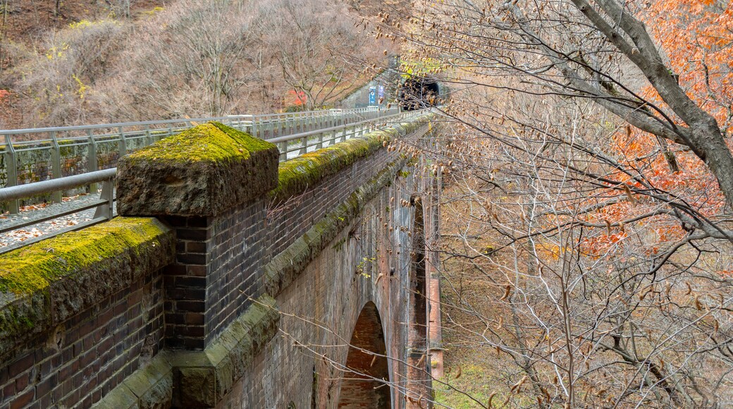 Megane-Brücke