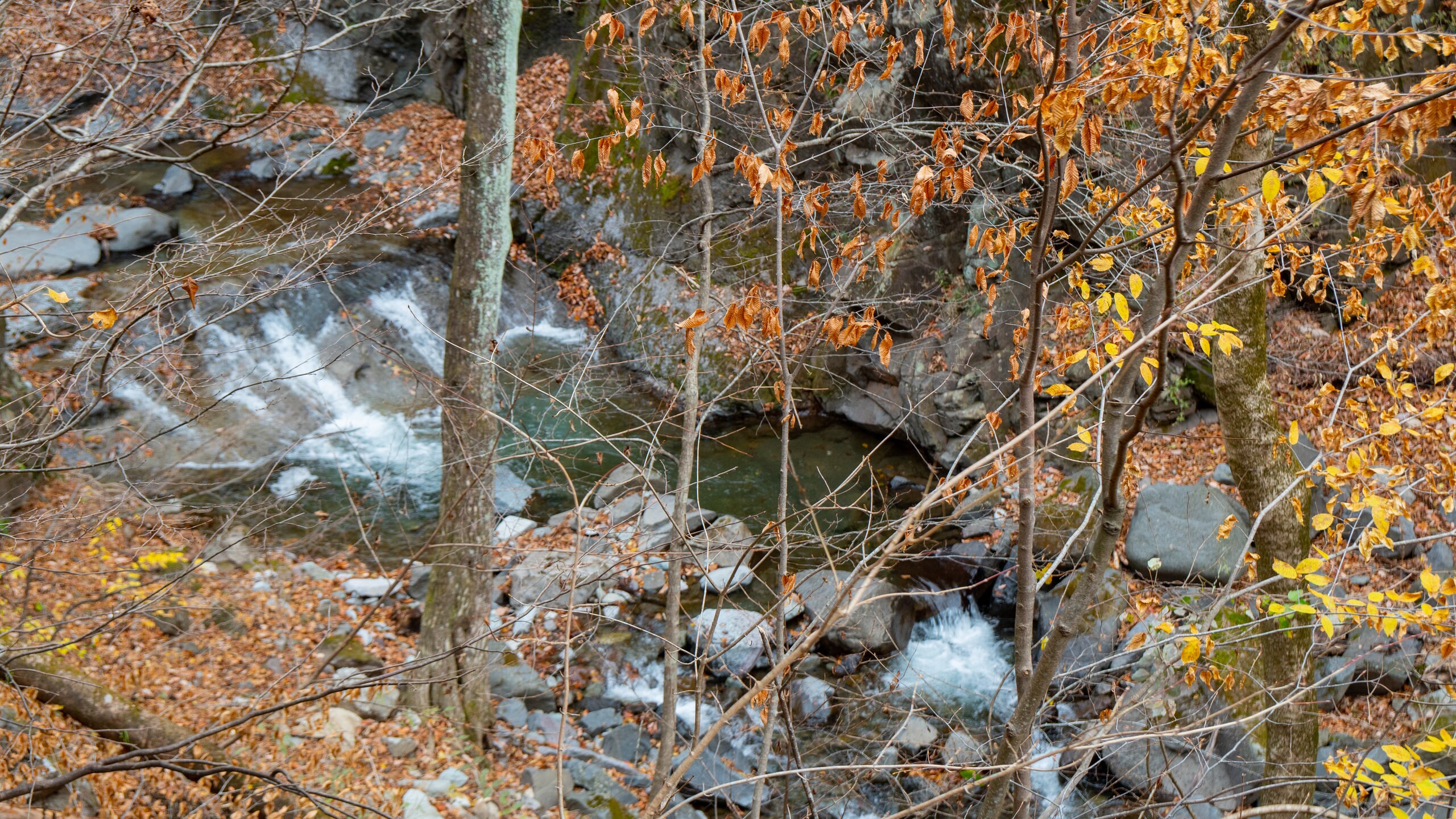 Karuizawa featuring fall colors and a river or creek