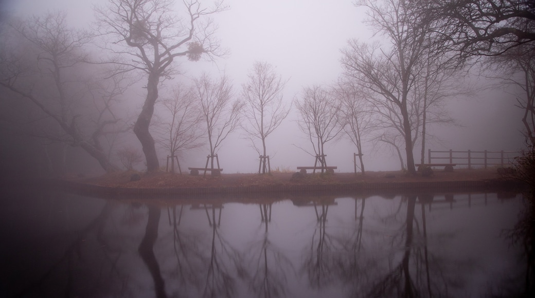 Kumoba Pond showing mist or fog and a lake or waterhole