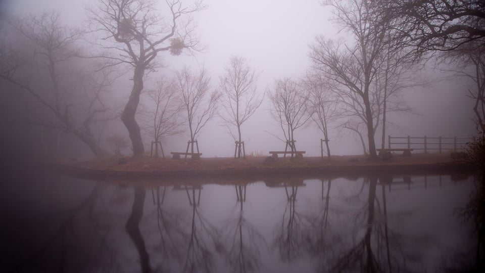 Kumoba Pond showing mist or fog and a lake or waterhole
