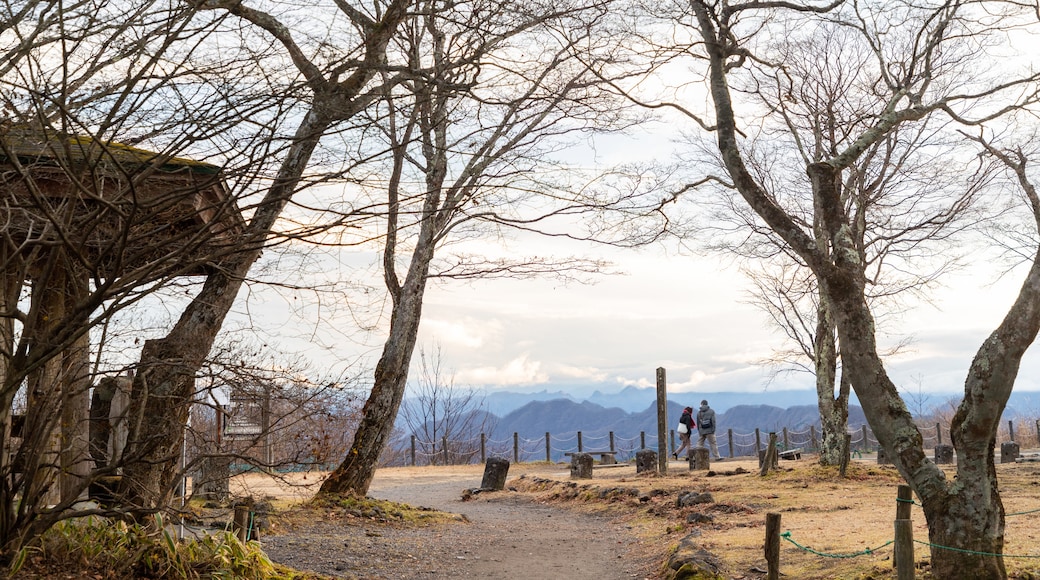 Usui Pass Observation Platform showing tranquil scenes as well as a couple