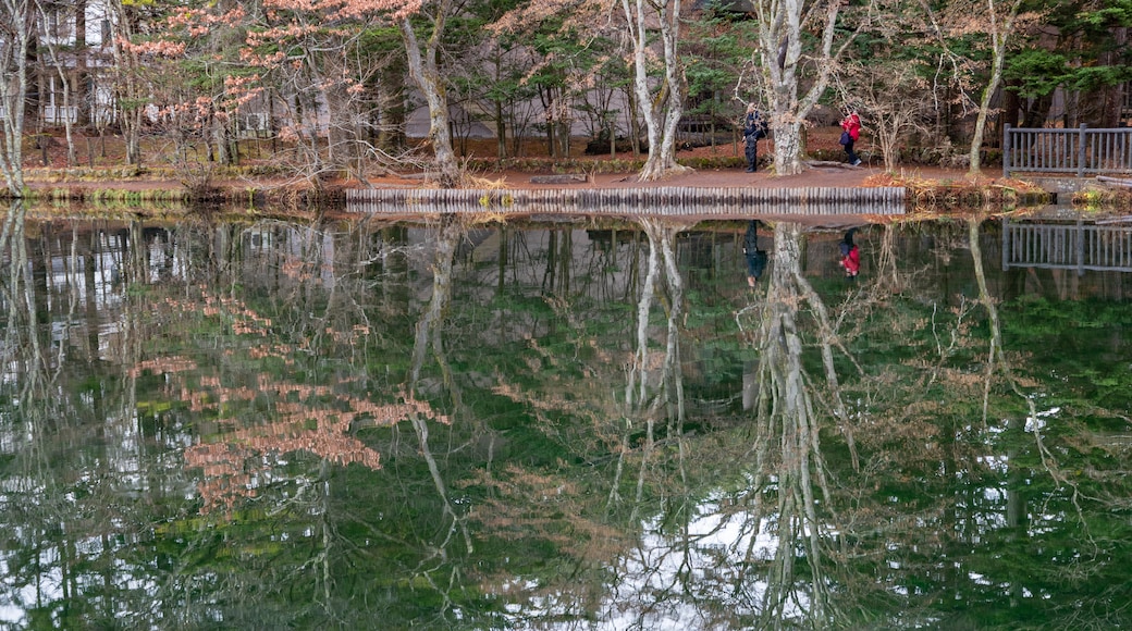 Kumoba Pond