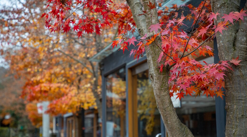 Rue Ginza de l'Ancien Karuizawa