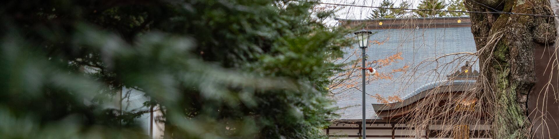 Ginza Shopping Street which includes street scenes as well as a couple