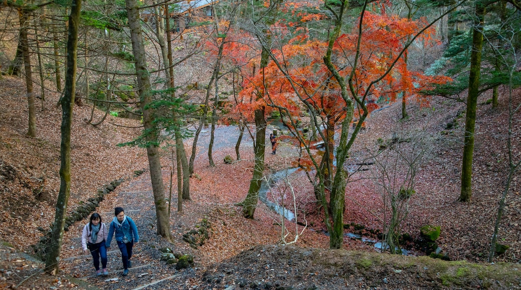 Karuizawa featuring a park, hiking or walking and fall colors