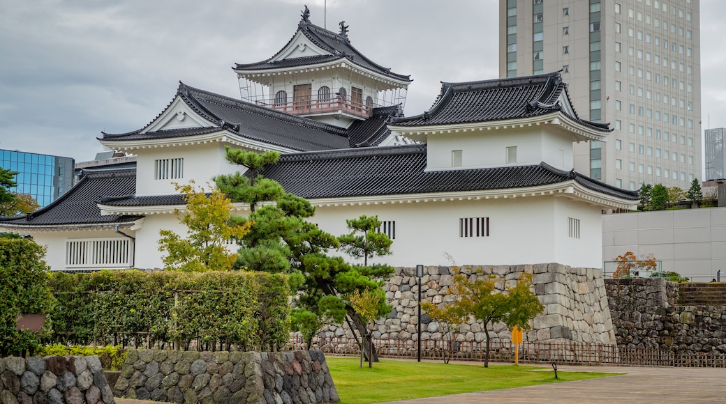 Toyama Castle which includes heritage architecture