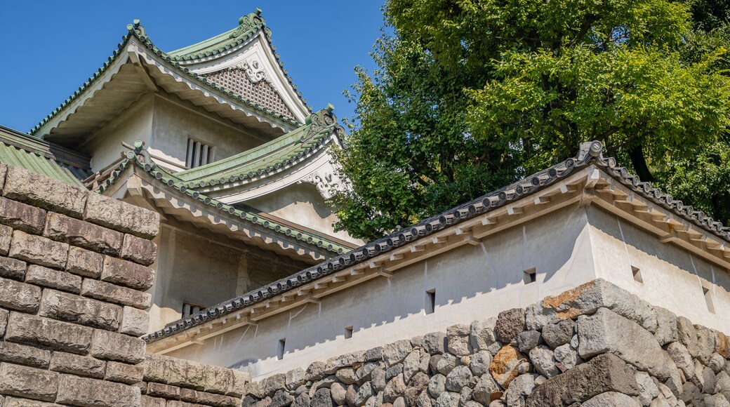 Toyama Castle featuring heritage elements