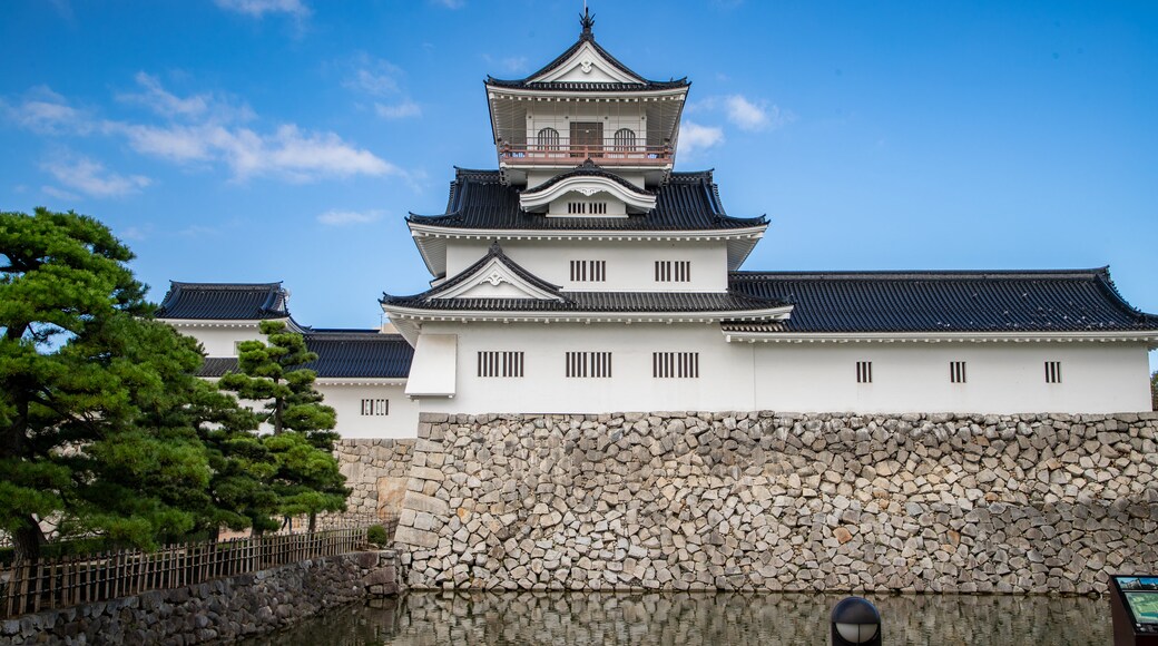 Toyama Castle which includes heritage architecture