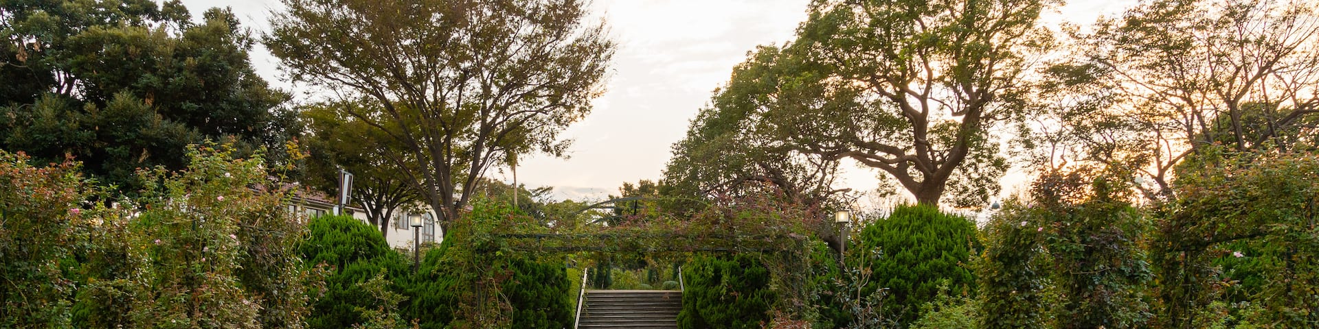Harbor View Park which includes flowers, a garden and a fountain